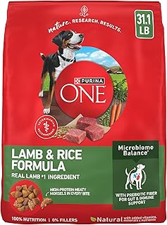 Bag of Purina ONE SmartBlend lamb and rice formula dry dog food