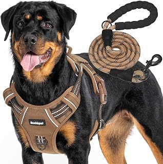 Rottweiler wearing a brown Beebiepet tactical dog harness with a matching reflective rope leash