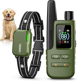 Jugbow green rechargeable dog training collar with reflective strap and handheld remote