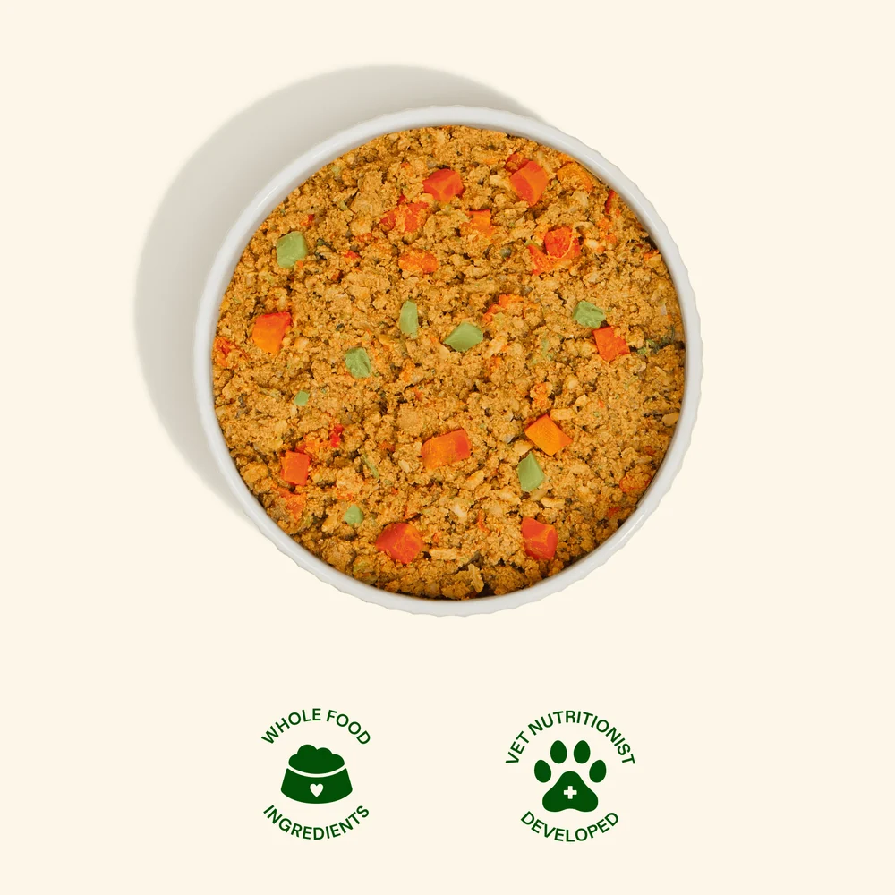 Top view of a bowl of Get Joy turkey fresh dog food