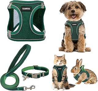 GAMUDA green reflective mesh puppy harness with matching collar and leash set