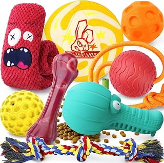 Variety pack of durable dog toys including rubber balls, a rubber bone, a squeaky plush, a frisbee and rope tugs