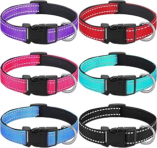 Six reflective nylon puppy collars with quick-release buckles in purple, red, pink, teal, blue and black